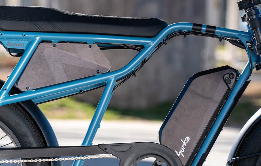 SURKA NOTA 12