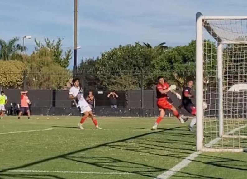 leones 4-2