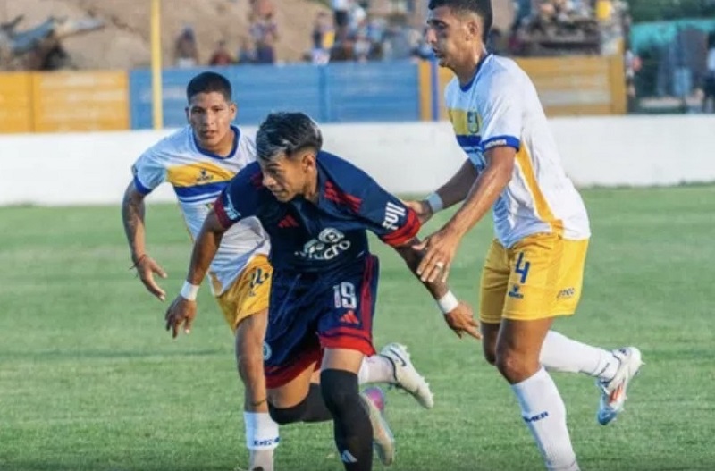 leones2-2