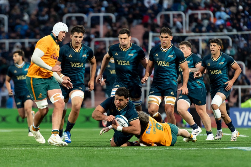 pumas aus3