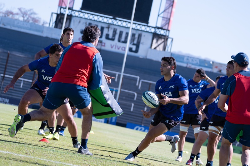 pumasvswallabies2